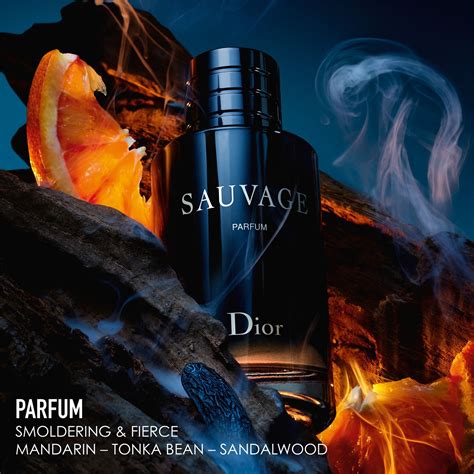 samenstelling dior sauvage|dior sauvage unisex.